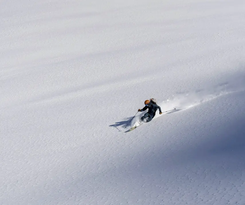 Alpine ski coaching in Whistler