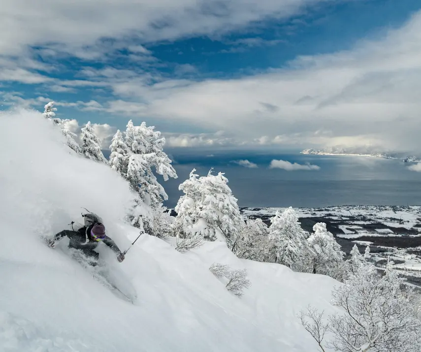 Alpine ski coaching in Whistler
