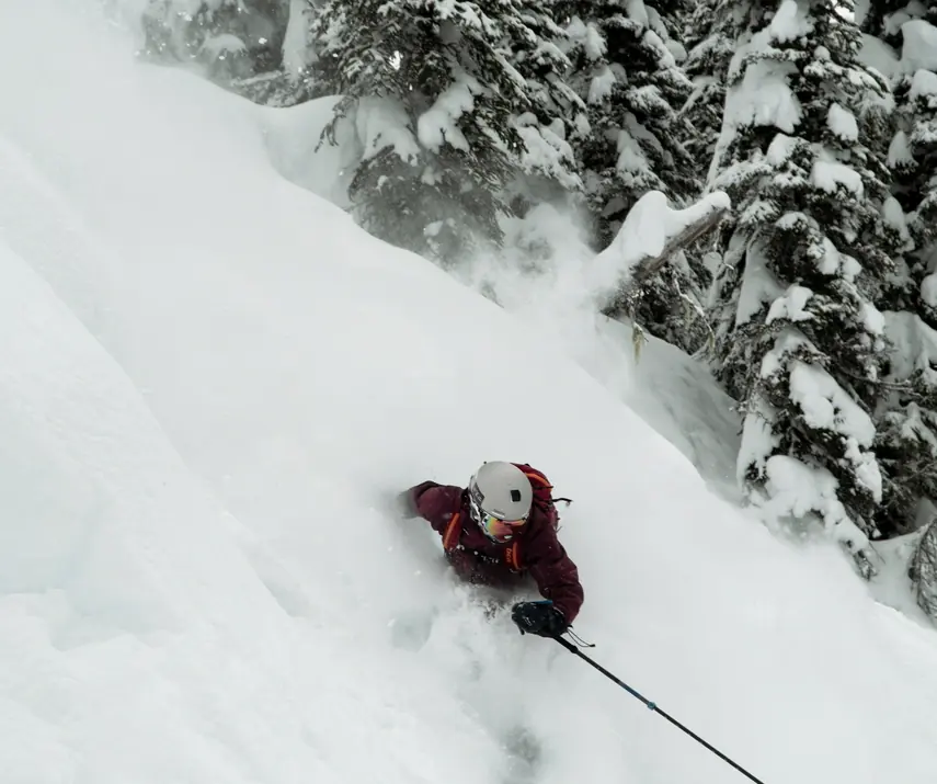 Alpine ski coaching in Whistler