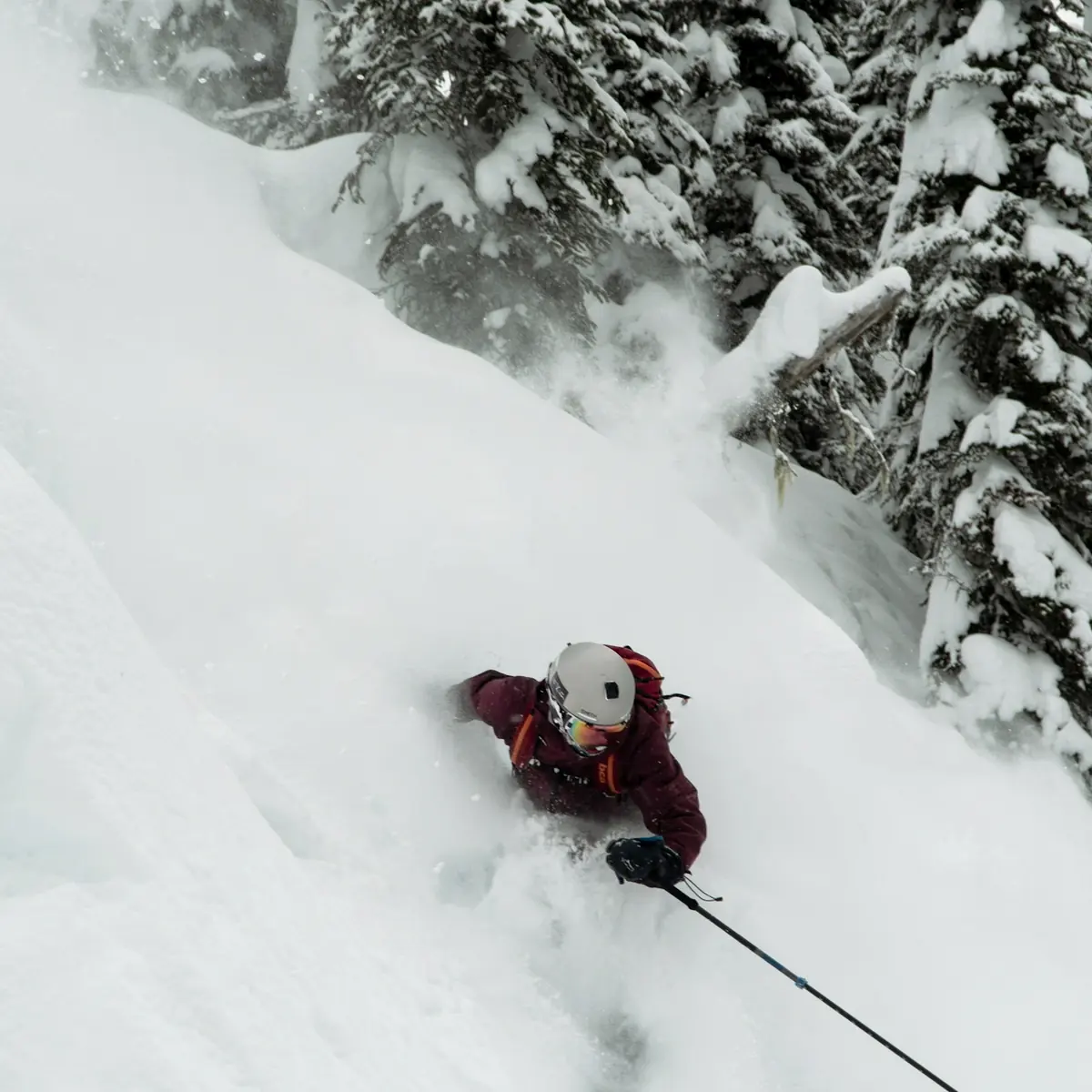Skier turning through trees